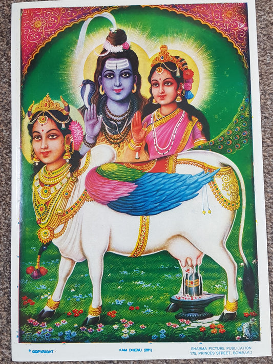 Kamadhenu, The Wish-Fulfilling Cow, with Shiva and Parvati by Sharma Publications