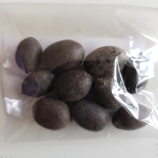 Pabri / kamar Gatta / lotus seeds 10g